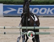 Giordano Carlton Wonder CsioArJYR SS7 8104 : CSIO Giovani Arezzo, Carlton Wonder, Giordano Martina, foto Stefano Secchi ©